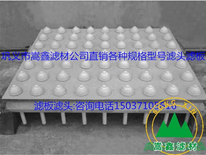 �V�^���V��