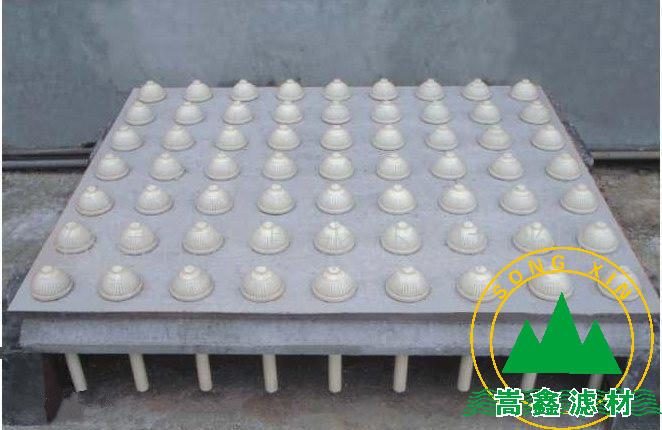 �������A(y��)�ƞV��